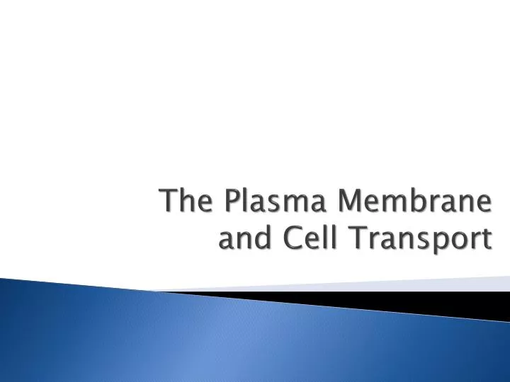 the plasma membrane and cell transport