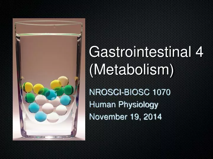 gastrointestinal 4 metabolism