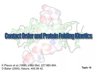 Contact Order and Protein Folding Kinetics