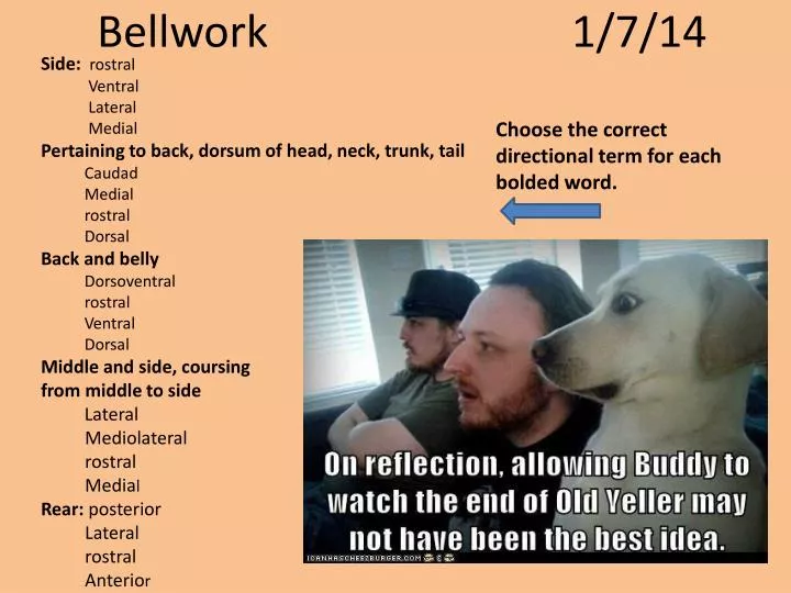 bellwork 1 7 14