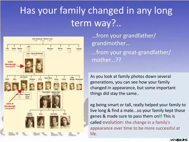 has your family changed in any long term way