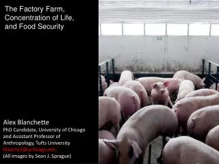 The Factory Farm, Concentration of Life, and Food Security