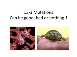 13-3 Mutations Can be good, bad or nothing!!