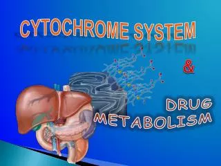 CYTOCHROME SYSTEM