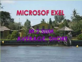 MICROSOF EXEL