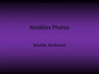 Maddies Photos