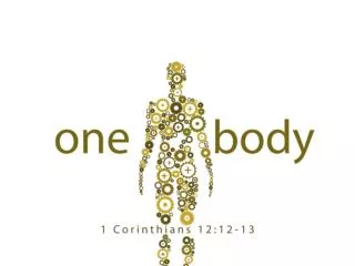 Each part of the spiritual body is indispensable. 1 Cor 12:21-26.
