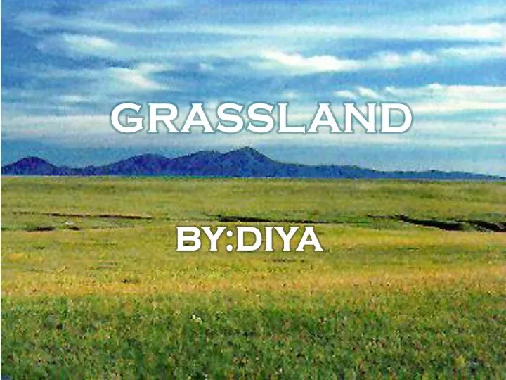 grassland