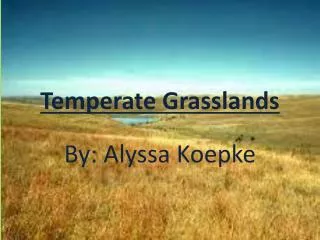 Temperate Grasslands