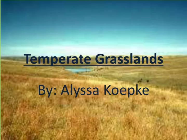 temperate grasslands