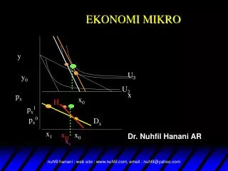 EKONOMI MIKRO