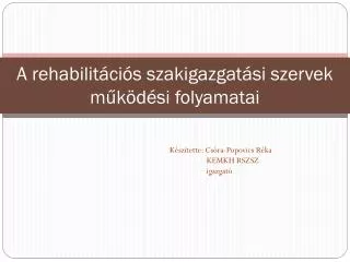 A rehabilitációs szakigazgatási szervek működési folyamatai