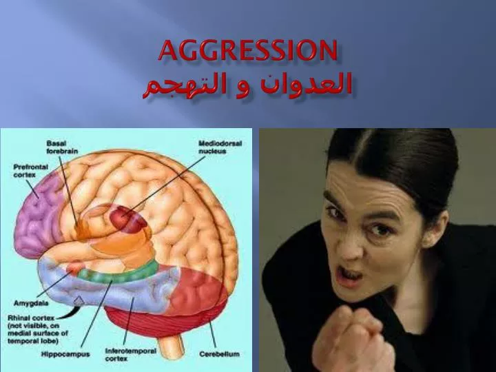 aggression