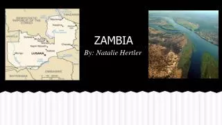 zambia
