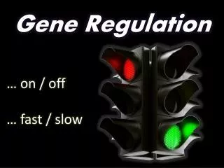 Gene Regulation