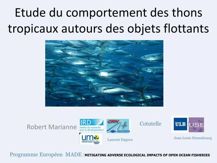 etude du comportement des thons tropicaux autours des objets flottants