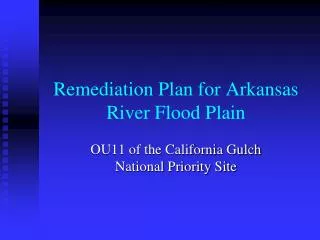 Remediation Plan for Arkansas River Flood Plain