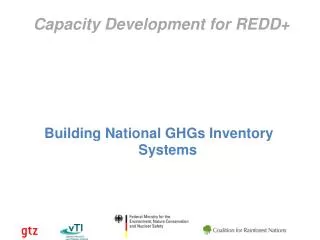 Capacity Development for REDD+