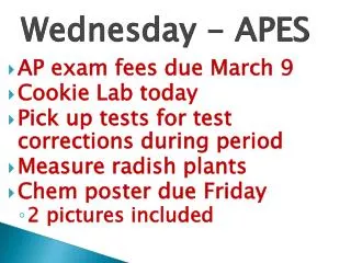 Wednesday - APES