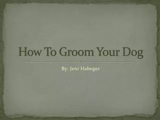 How To Groom Your Dog