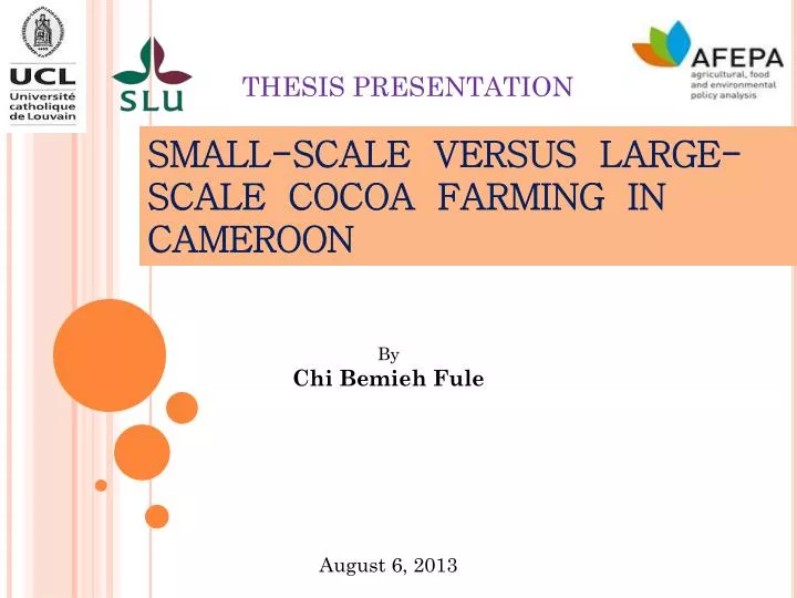 small scale versus large scale cocoa farming in cameroon