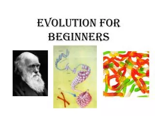 evolution for beginners
