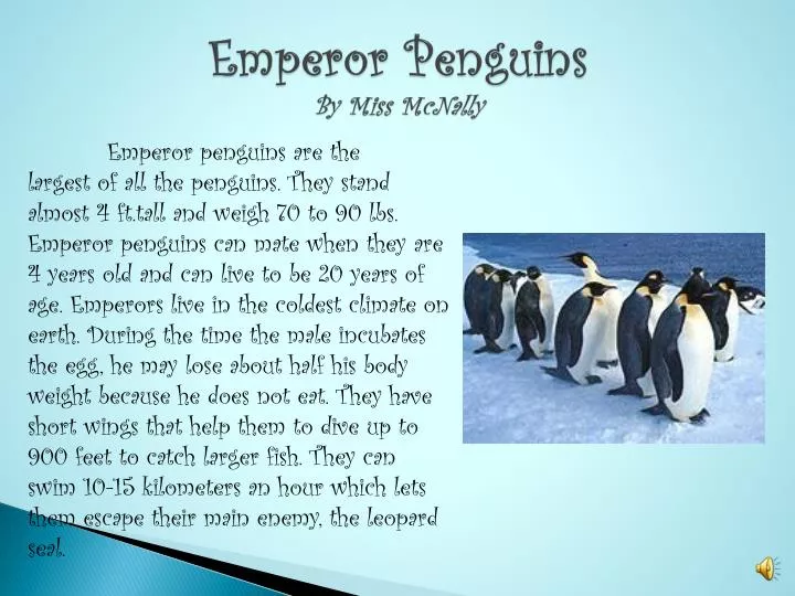 emperor penguins by miss mcnally