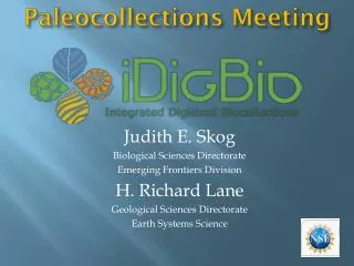 Paleocollections Meeting