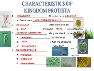 CHARACTERISTICS OF KINGDOM PROTISTA