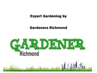 Reliable Gardeners in Richmond
