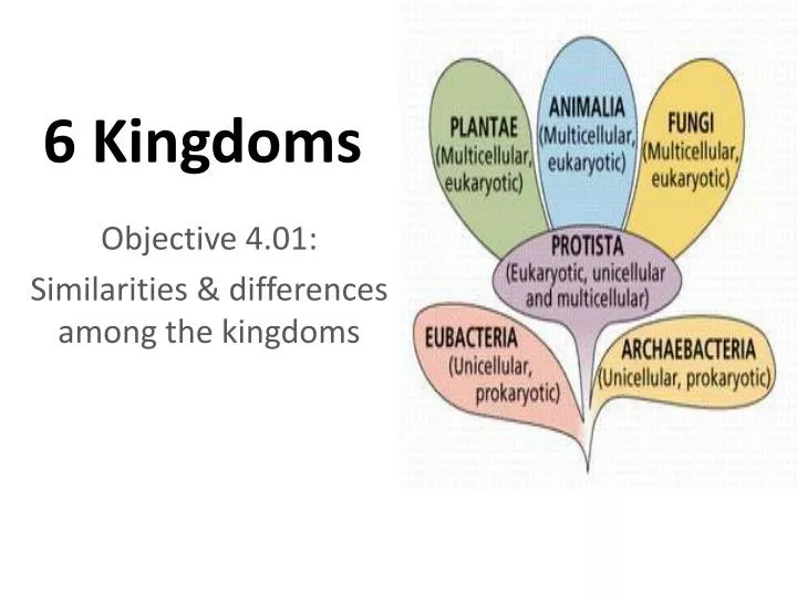 6 kingdoms