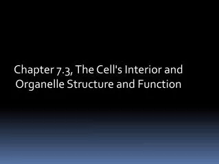 Chapter 7.3, The Cell's Interior and Organelle Structure and Function