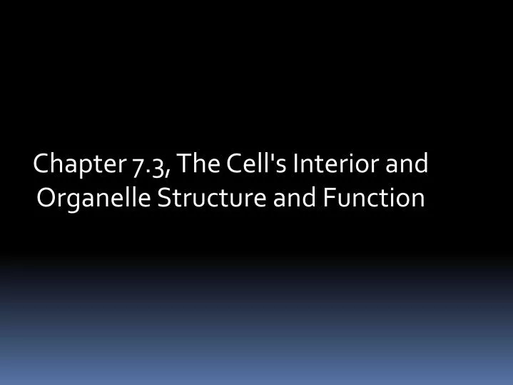 chapter 7 3 the cell s interior and organelle structure and function