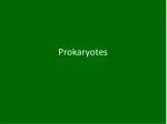 Prokaryotes - slide 1