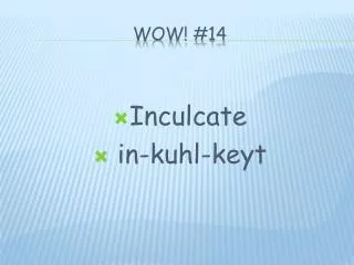 wow 14