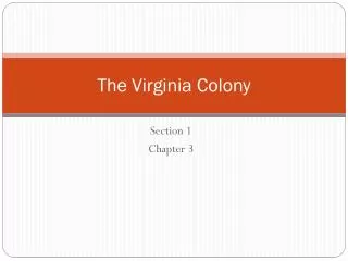 The Virginia Colony