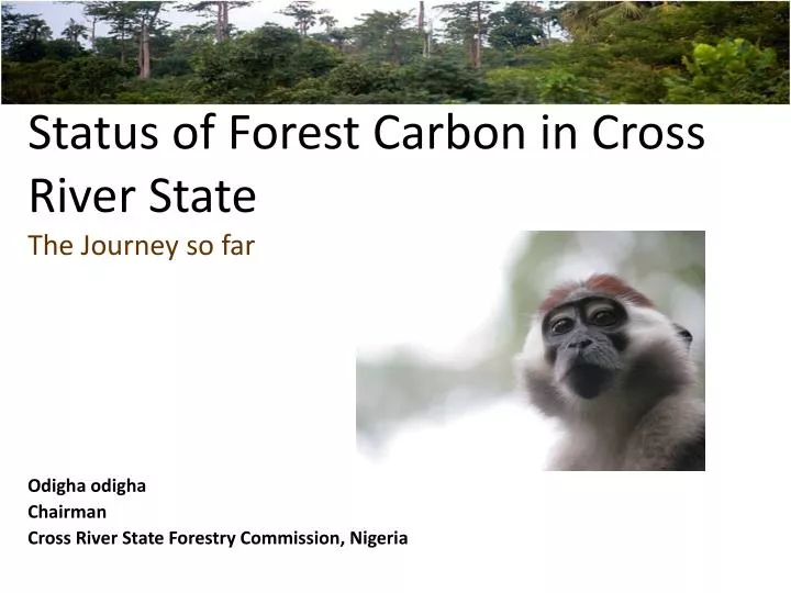 status of forest carbon in cross river state the journey so far