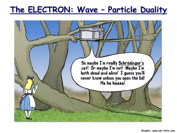 the electron wave particle duality