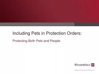 Including Pets in Protection Orders: