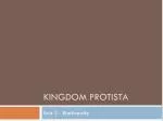 Kingdom Protista - slide 1
