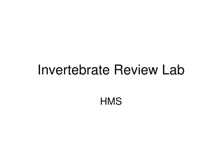 invertebrate review lab