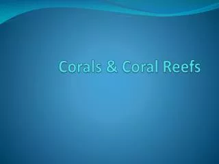 Corals &amp; Coral Reefs