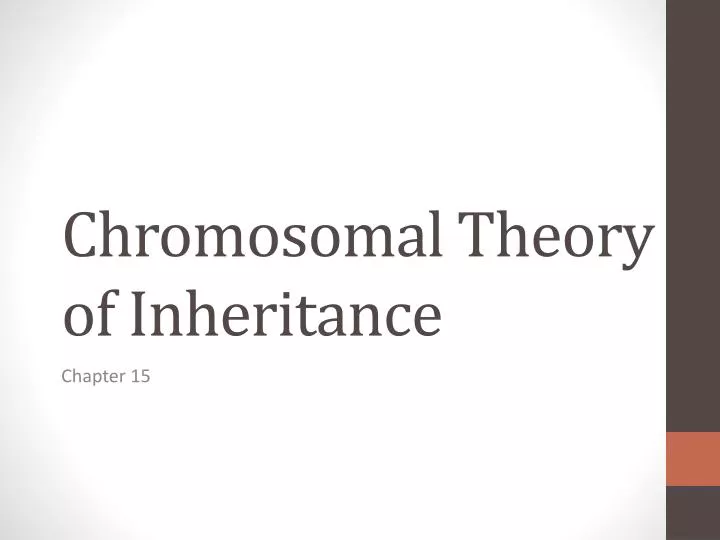 chromosomal t heory of inheritance