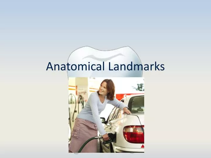 anatomical landmarks