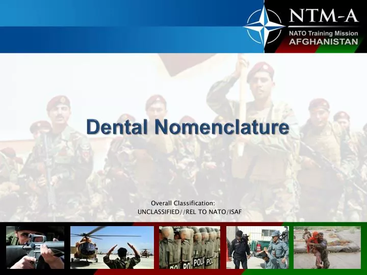 dental nomenclature