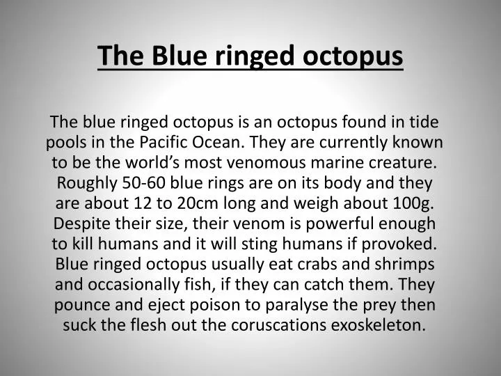 the blue ringed octopus