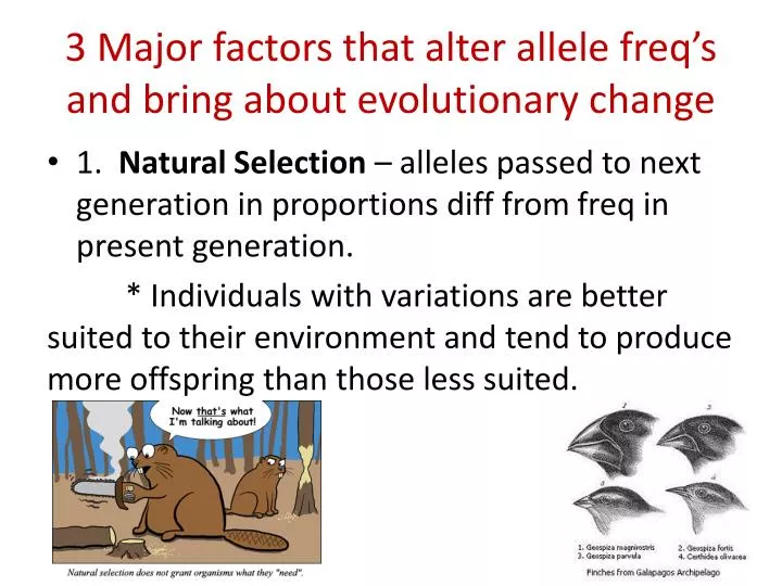 3 major factors that alter allele freq s and bring about evolutionary change