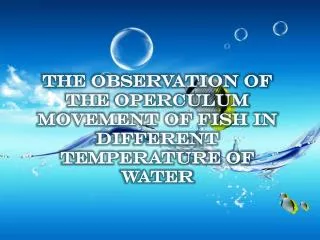 The observation of the operculum movement of fish in different temperature of water