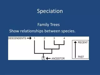 Speciation