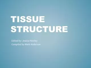 Tissue Structure
